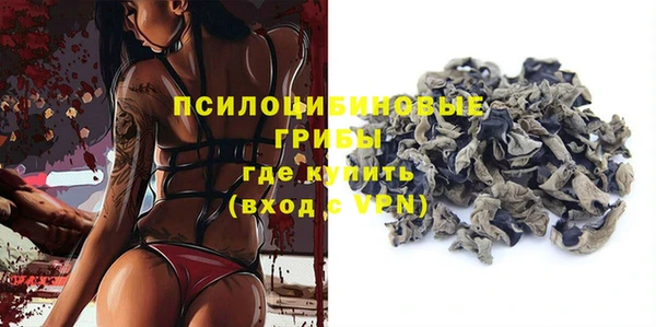 прущий лед Арсеньев