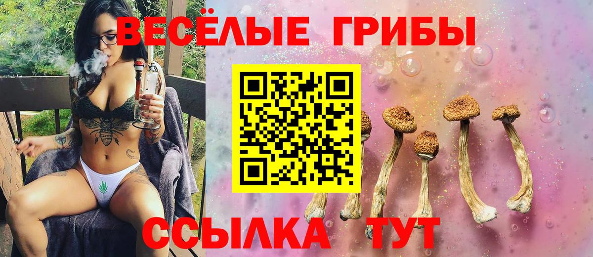 Галлюциногенные грибы MAGIC MUSHROOMS  Вход с VPN  Галлюциногенные грибы Psilocybine cubensis  Калуга 