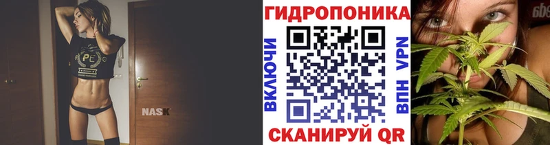 Бошки Шишки OG Kush Калуга